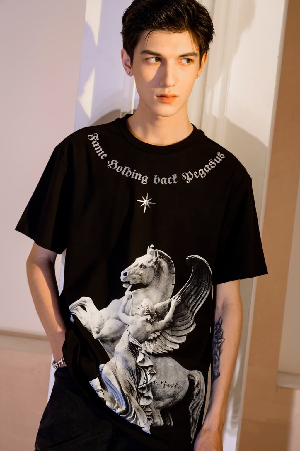 FAME HOLDING BACK PEGASUS