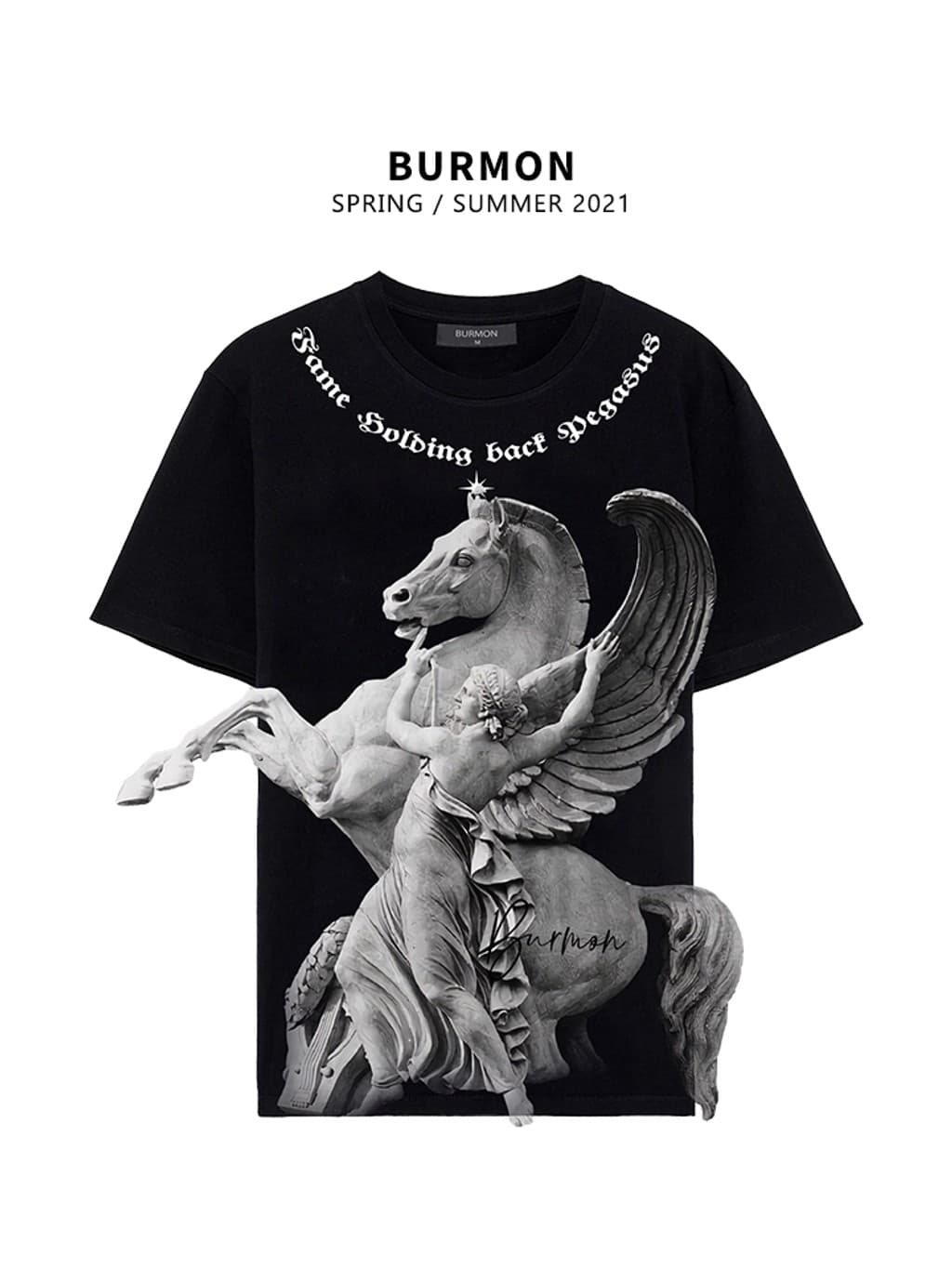FAME HOLDING BACK PEGASUS